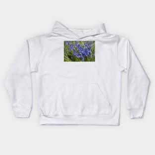 English Wild Flowers - Clump of Bluebells Kids Hoodie